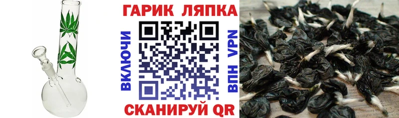 ГАШ гарик  продажа наркотиков  Сорск 