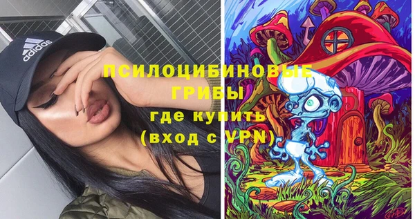 кокс Баксан
