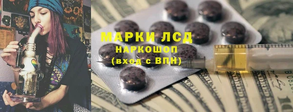 прущие грибы Балахна